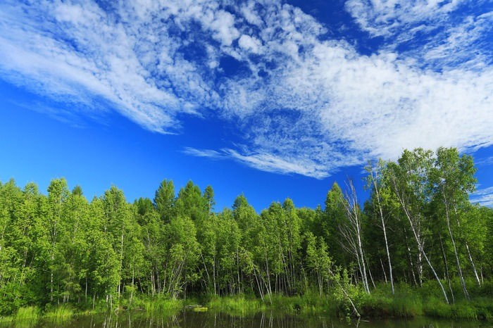 山西金年会智能科技有限公司--无人机森林防火解决方案